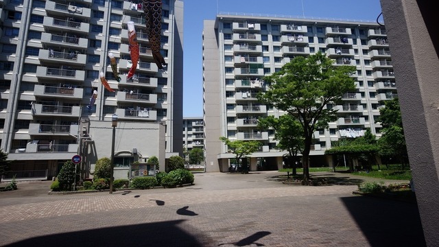 o0505-0.jpg